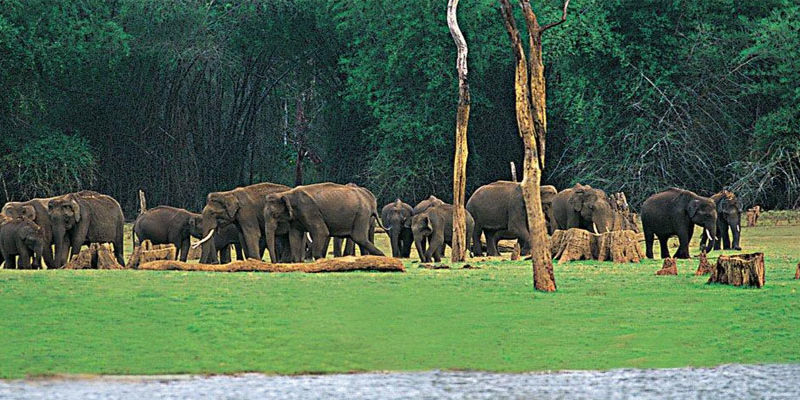 The Must- Try Unique Experiences in Kerala