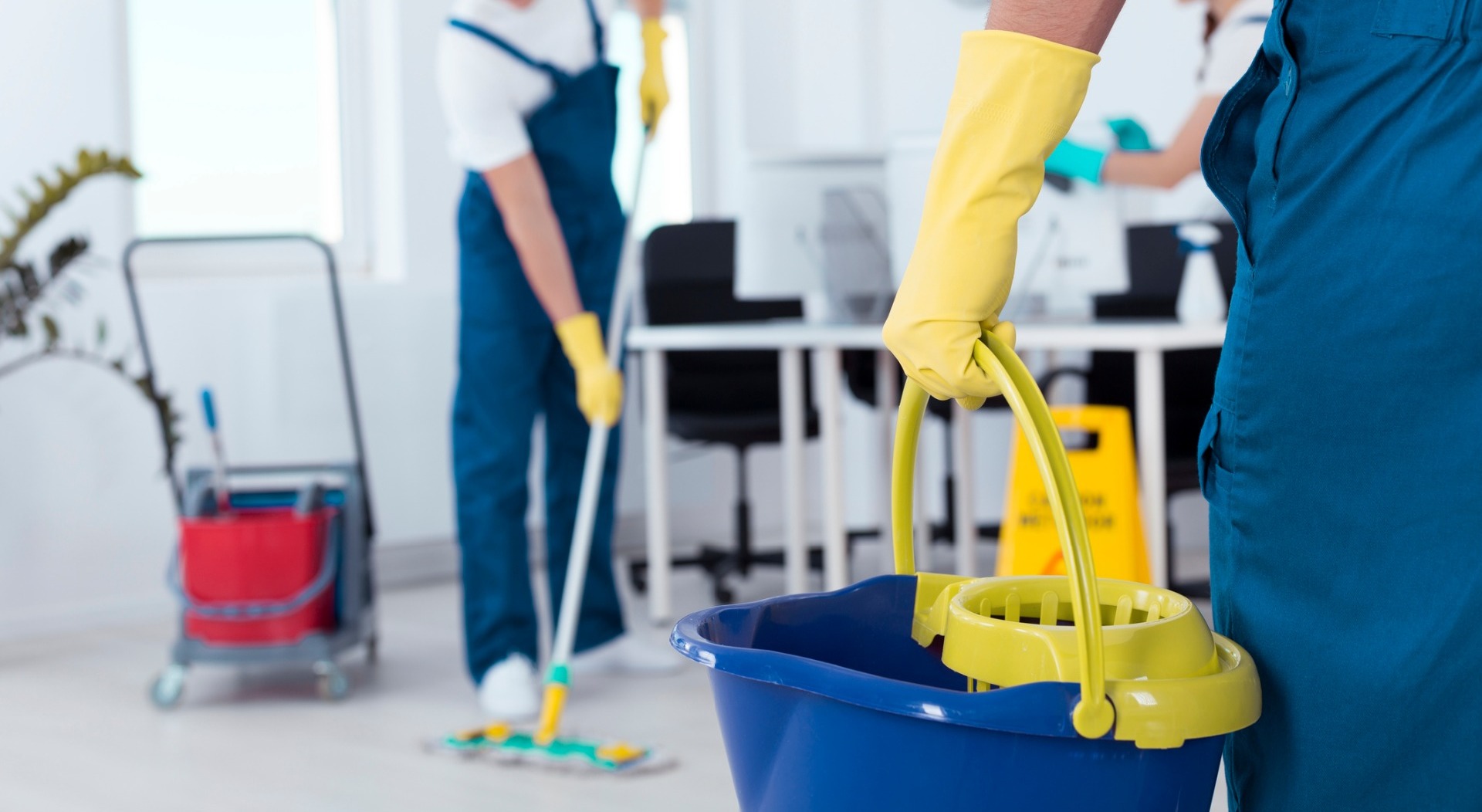 Five Important Reasons to Hire Professional Cleaning Services