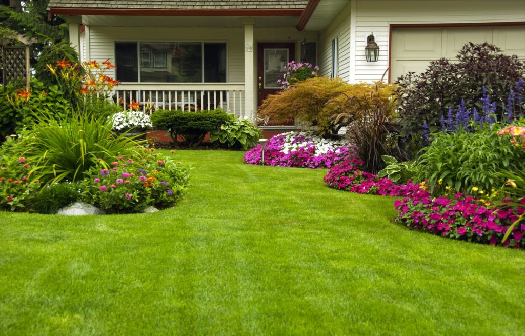 Low-cost home landscaping tips