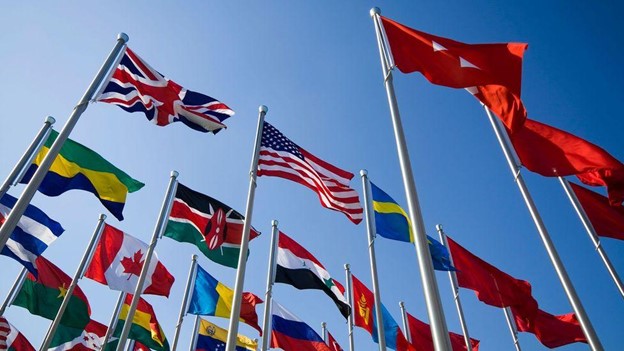 What Is the Importance of Flags